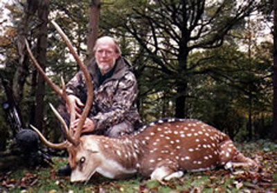 axisdeer