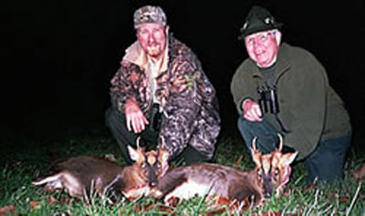 muntjackdeer