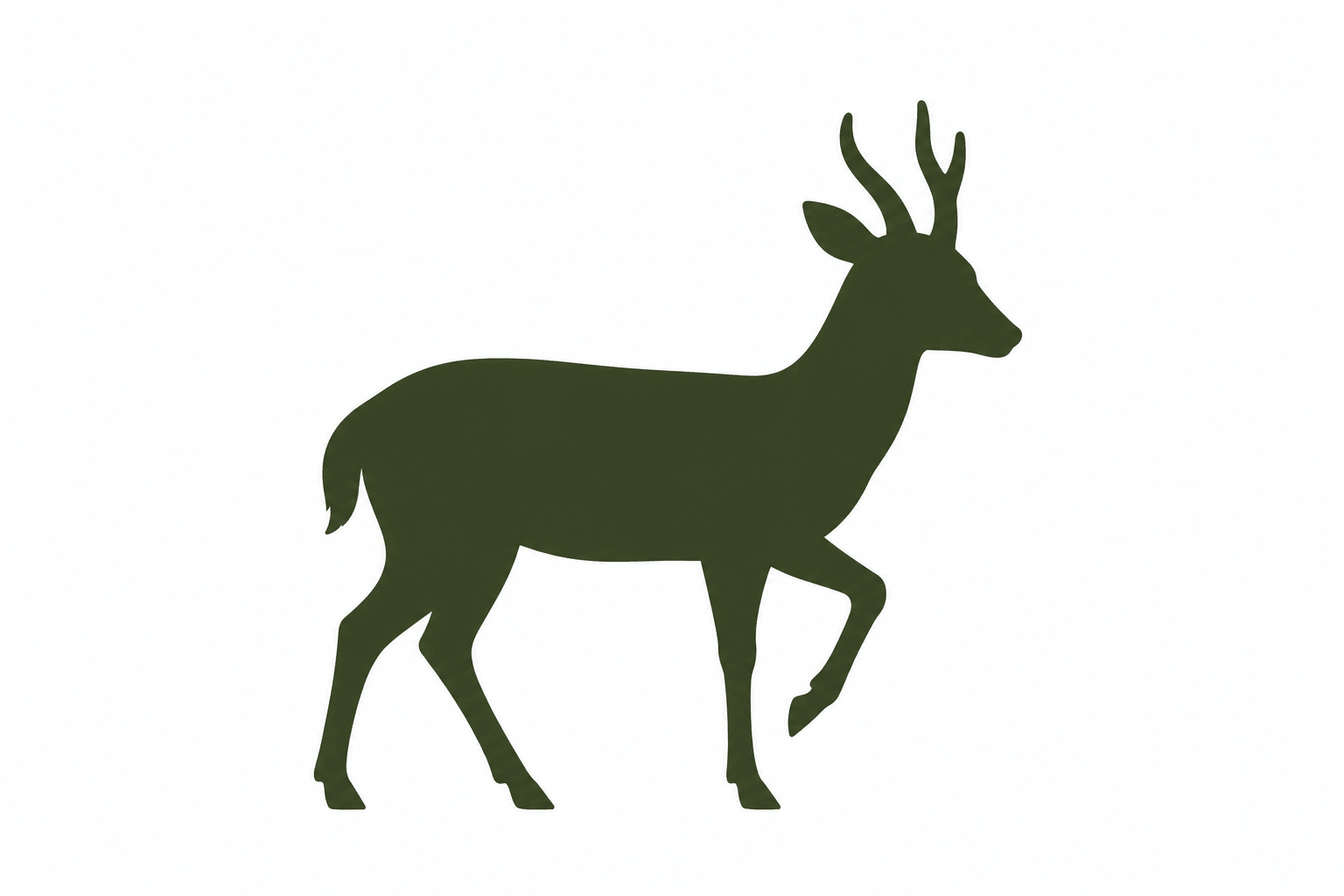 muntjacdeer