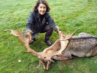 Fallow_Deer_400px