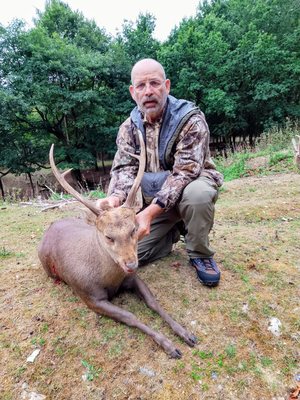 Hog_Deer_300px