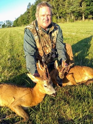 Roe_Deer_300px