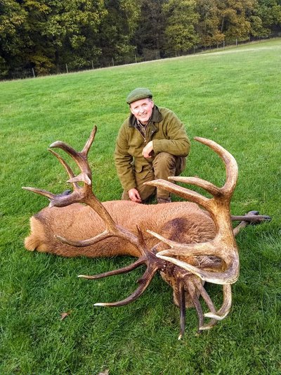 Trophy_Red_Stag_400px